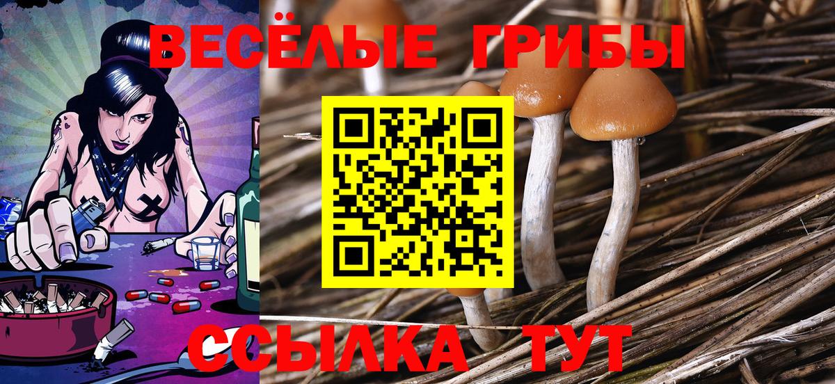 Галлюциногенные грибы Magic Shrooms  Вход с VPN  Соль-Илецк  Псилоцибиновые грибы Magic Shrooms 